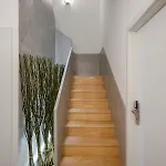 Deluxe